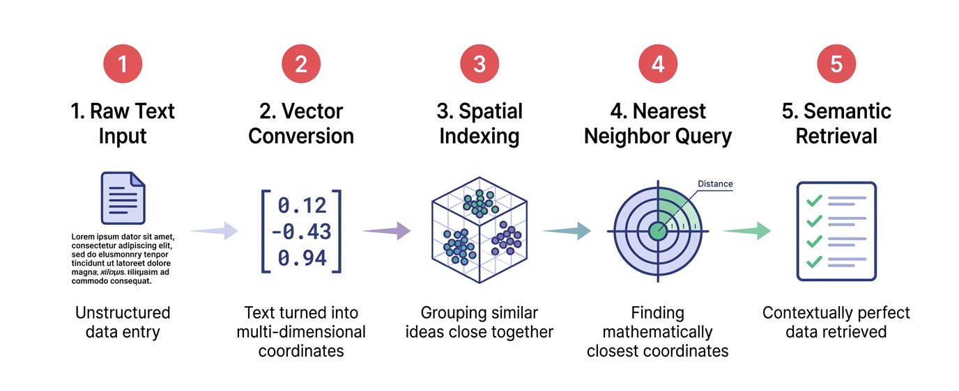 Vector Database Workflow